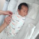 신우세탁 | 수원 산후도우미 친정맘 4주 솔직 후기! 아기 케어부터 음식까지 둘째맘 강력추천