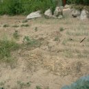 고읍농장 이미지