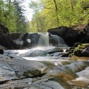 (주)삼림 이미지