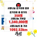 리틀태권도 이미지