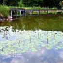 부광건축사사무소 이미지