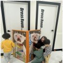 늘푸른 경희대 태권도장 이미지