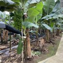 원규농장 이미지