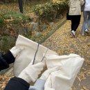 충현목장 이미지