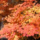 용강동소금강 이미지