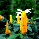 황금휴게실 이미지