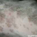 디위드동물병원 이미지