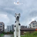 펫마트 홍성점 | 홍성 펫마트 다양한 반려동물 용품 강아지 용품