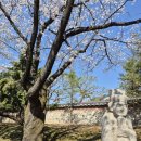 호암행복어린이집 이미지