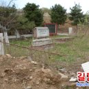 그리고사과 이미지