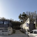 썰트(SULT) 네이버블로그