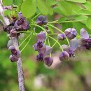 원더풀데이 이미지