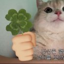 우림컴퍼니