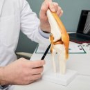 양재마디튼튼의원 이미지