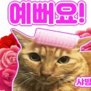 네일바이썬 - 천안시 서북구 | 네일바이썬