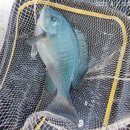 정훈축산 이미지