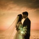 [🕊️Wedding #5]더데이무드 보정업체후기