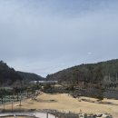 느티나무 | 아이랑 가기 좋은 양산 대형 카페 , 느티나무의 사랑 솔직 후기