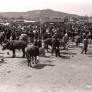 수원-1976 이미지