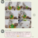 안심하고 믿고 맡길 수 있는 곳 슬기로운 멍생활 부평애견호텔 이용 후기