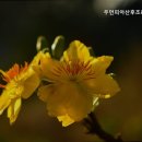 우먼피아 산후조리원 민락점 이미지