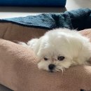 힐링하우스 운일암 이미지