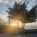 성주 포천계곡 &lt;풀꽃이랑 캠핑장&gt;