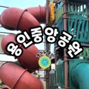 용인중앙공원_M 이미지