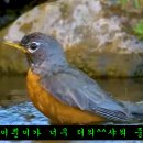 인계동 919 이미지