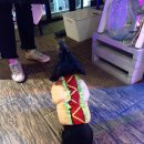 송정동-21 | [부산/송정] 부산송정맛집 송정해수욕장맛집 갓튀겨서 정말 맛있는 수제핫도그 송정동핫도그 송정점