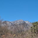 용문 행정사 이미지