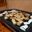 사람과 애견 이미지