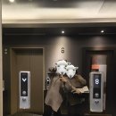 도미인 서울 강남 사우나 | 서울 온천호텔 도미인 강남 스탠다드더블룸 호캉스 후기 근처 맛집 사우나 정보