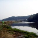 덕송2로 Daum카페