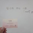 센츄(Scent You)