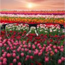 아이파크단지내공인중개사사무소 | [공지] &#34;부모 관점에서 보는&#34; 잠실 래미안아이파크 학군 분석 (잠실솔마루 공인중개사무소)