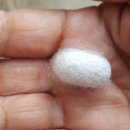 해수농장 이미지