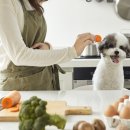 해봄동물병원 이미지