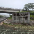 IUCN 나눔의 숲 | 제주 세계자연보전연맹(IUCN) 기념숲 방문 후기! 규모가 작고, 입구 찾기가 어려운 기념숲! [이춘근...