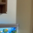 코인악쓰는하마 노래연습장 은행점 이미지