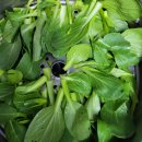 유가네농장 이미지