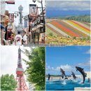 (주)세이브카 | 중학생 일본 여행 추천 도시 4곳 비교! 7월 8월 여름 해외여행지 일정 및 할인 팁