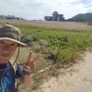 홍성불가마찜질방 이미지