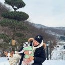 김가은 카카오 검색결과