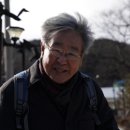 대월 양봉 네이버블로그