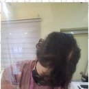 고양이 무마취 미용 냥털도둑 이미지