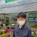 보리수화원 - 11710 | 보리수화원