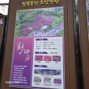 수리산역 | 🌸 군포철쭉축제 후기 지금 가야 하는 이유 (수리산역 3분 봄꽃 명소)