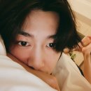 댕프로