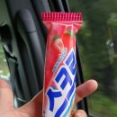 고당민박 이미지